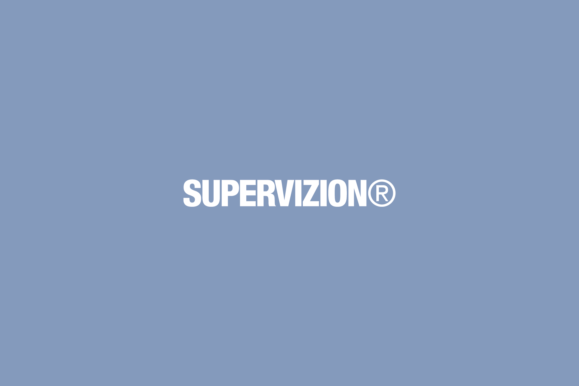 Supervizion Color Logotype